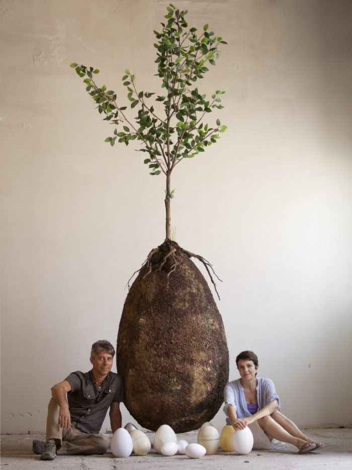 natural burial pemakaman organik