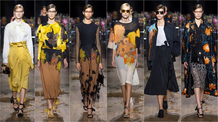 dries van noten
