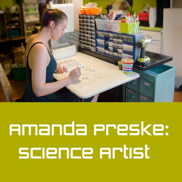 amanda preske