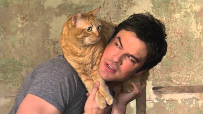 ian somerhalder