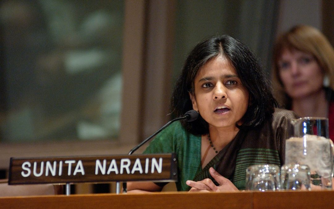 Perjalanan Sunita Narain Dalam Menciptakan India yang Hijau