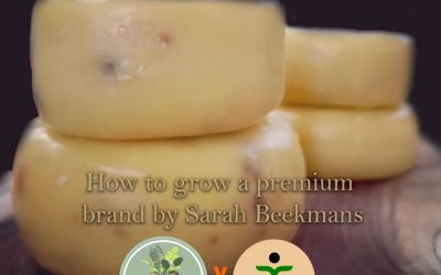 Protected: How to Grow a Premium Brand by Sarah Beekmans