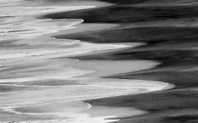 In Stillness, Wisdom Finds its Voice