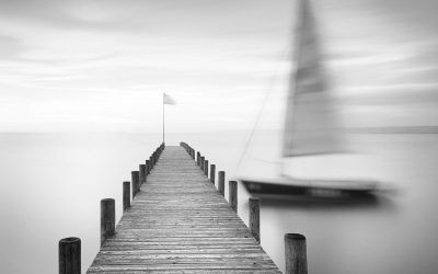 No Path Is Wrong if It Leads You Forward
