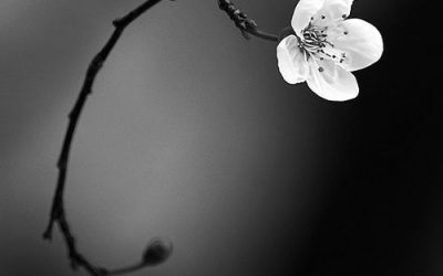 What is brief can still be boundless