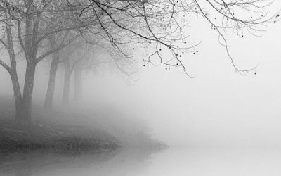 In The Fog of Doubt, The Spirit Finds its Light