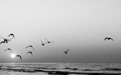 The Light We Cannot Keep Lives On In Memory