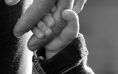 Trust is a Seed Watered by Kindness