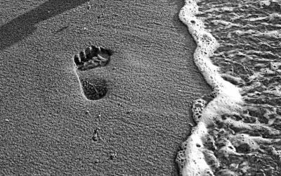 Letting Be Means Trusting Without Rushing
