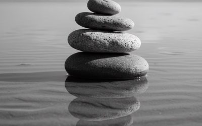 Stillness Does Not Hide Us, It Reflects Us