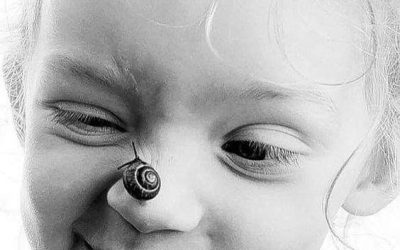 Joy Has a Way of Finding New Faces