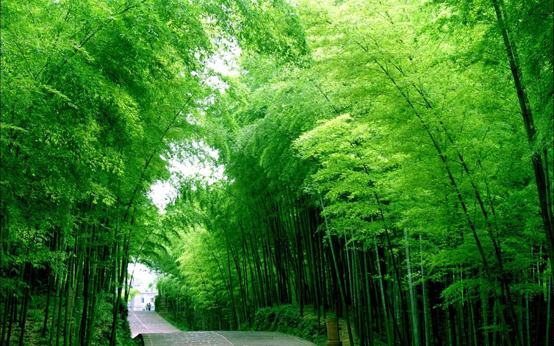 sedotan bambu