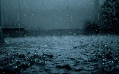 Some People Feel The Rain, Others Just Get Wet