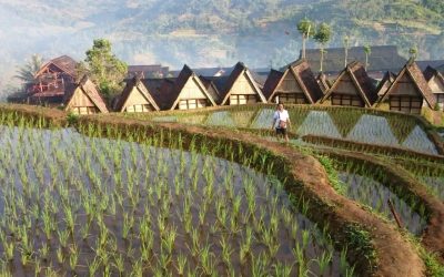 Menjelajahi Kampung Ciptagelar