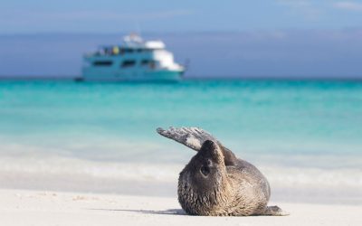 Kepulauan Galapagos Pilihan Tepat untuk Liburan Eco
