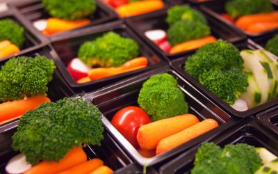 MUSE School Sekolah Vegan Pertama