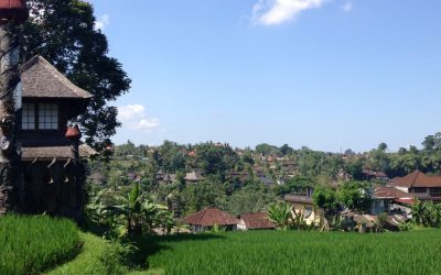 Desa Les di Bali, Para Nelayan yang Cinta Lingkungan