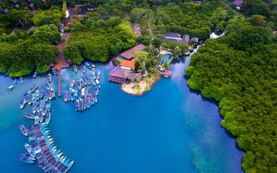 Pulau Menjangan, salah satu Spot Diving terindah di Dunia