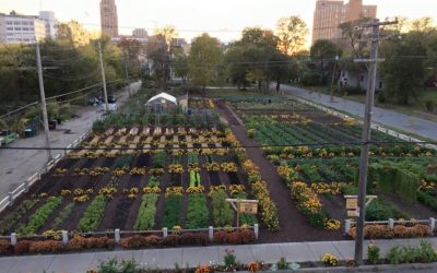 Agrihoods Tren Terbaru Milenial