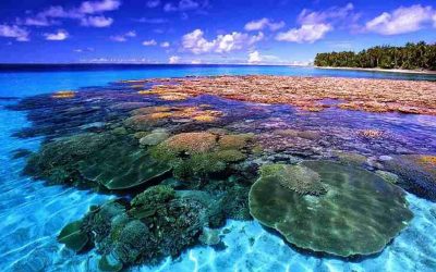 Taman Laut Bunaken Terancam Rusak
