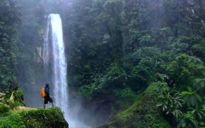Taman Nasional Gunung Halimun Salak