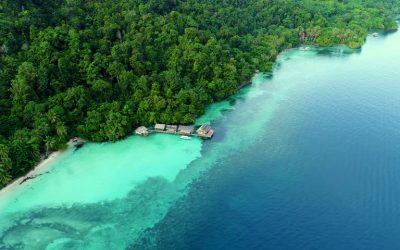 Cagar Alam Pulau Waigeo Barat Sangat Penting Keberadaannya