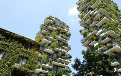 Liuzhou Forest City, Kota Hutan Pertama di Dunia