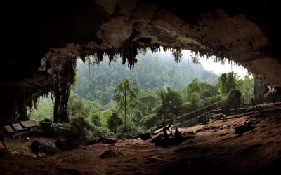 Taman Nasional Kayan Mentarang di Borneo