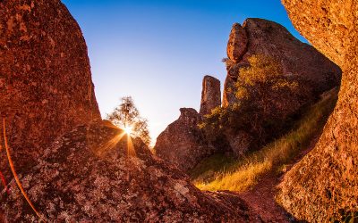 Taman Nasional Pinnacles Destinasi Menarik bagi Pecinta Alam