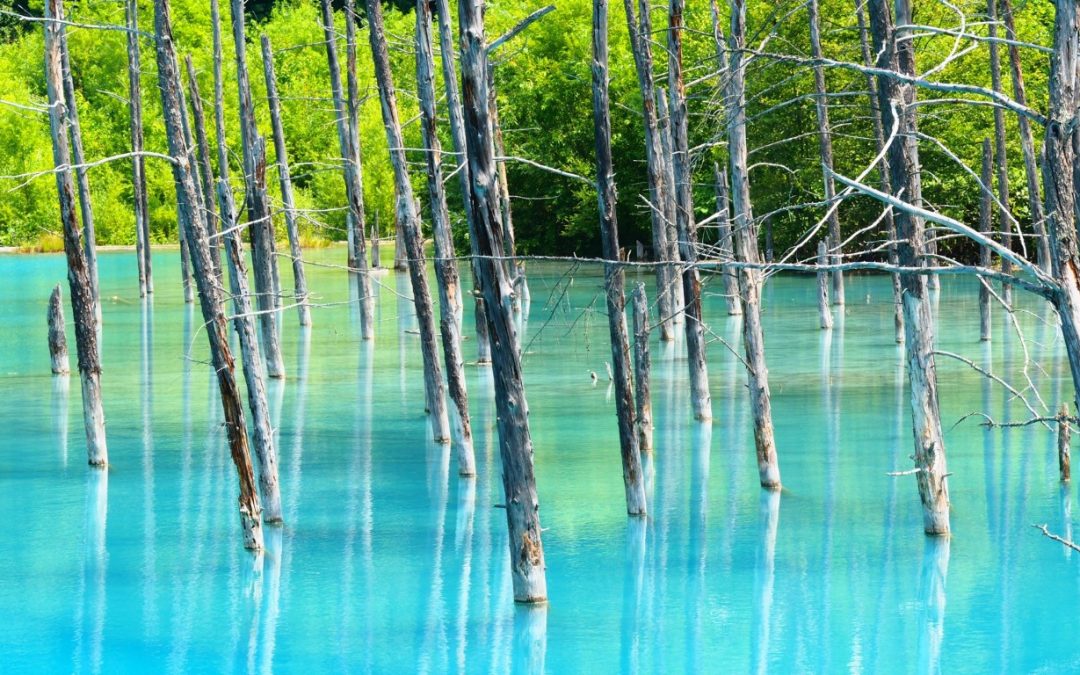 blue pond hokkaido