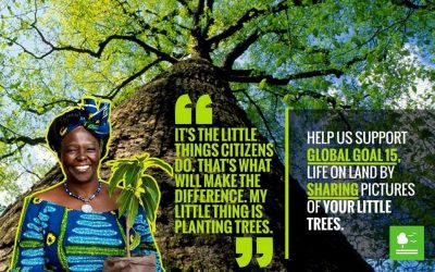 Wangari Maathai Pahlawan Lingkungan dari Kenya
