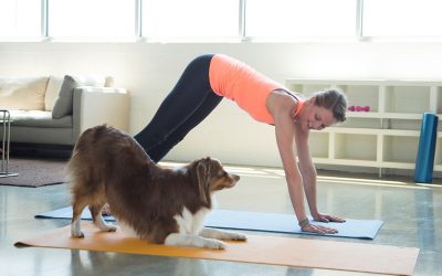 Doga, Yoga Bersama Anjing Kesayangan