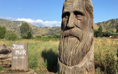 John Muir, Bapak dari Taman Nasional