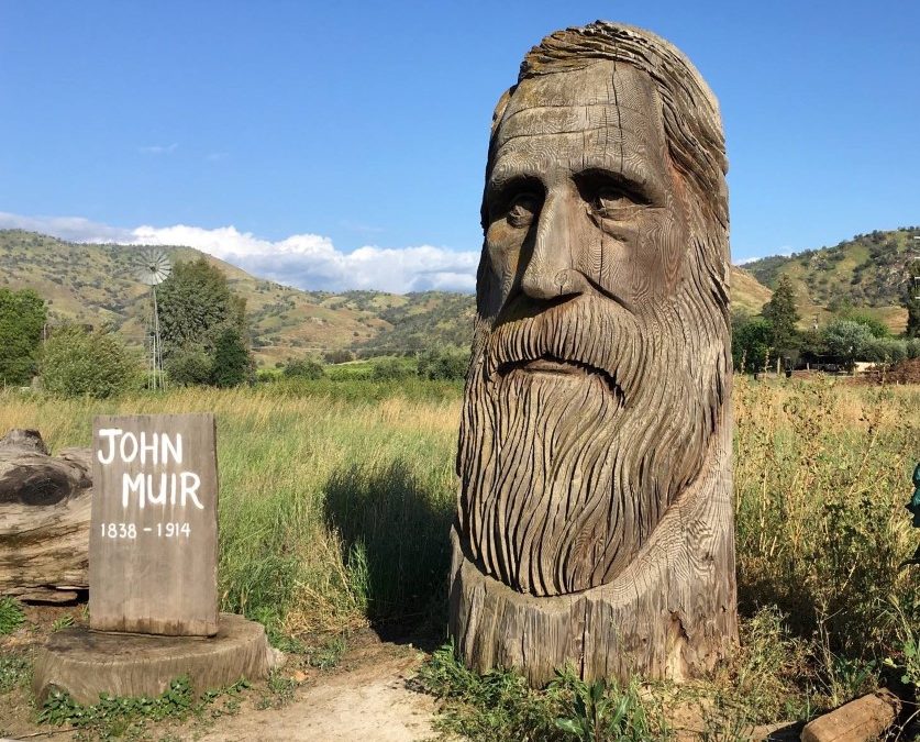 john muir