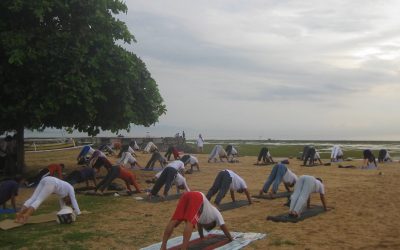 Latihan Yoga Gratis di Bali? Tentu Saja Bisa