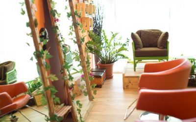 Salon Organic Glow Beauty Lounge