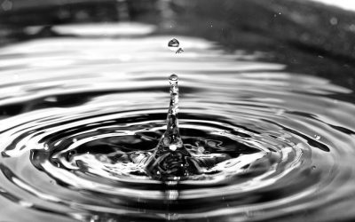 Each Life Creates Endless Ripples, Choose a Kind One