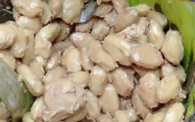 Protected: Fermentasi Coklat by Setianto