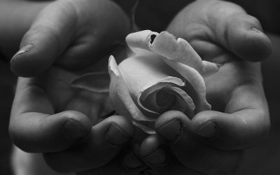 Do Small Things with Great Love
