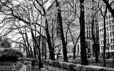 In Every Stumble, There’s a Step Toward Wisdom
