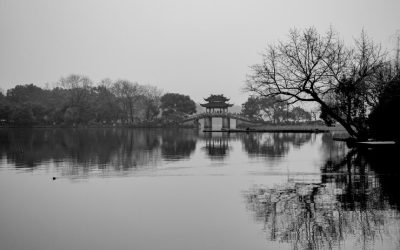 Harmony Emerges When Space Is Allowed To Breathe