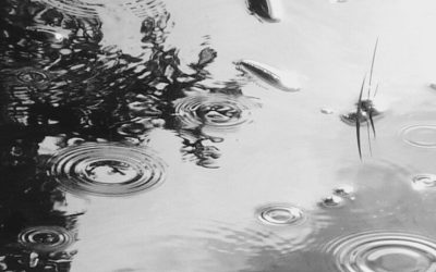 A Simple Act May Ripple Further Than We Realize