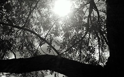 A Day’s Glow Starts With Our First Step