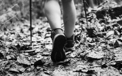 Quiet Moments Fuel The Way Forward