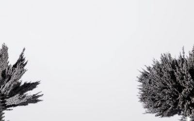 The Wind Never Rushes, Yet it Always Finds its Way