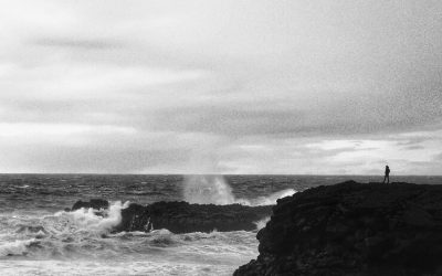 Ride The Breeze, Not The Storm