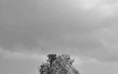 A Steady Heart Quiets Even The Fiercest Storm