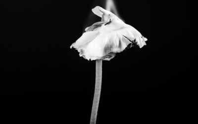 What Looks Fragile Can Be Quietly Determined