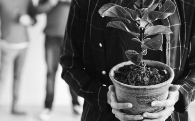 To Grow Is To Become, Not To Be Noticed