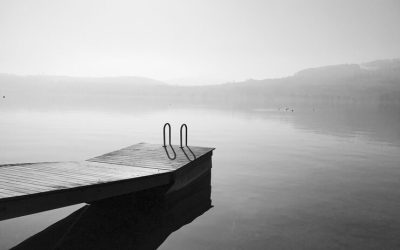 Only In Stillness Do We See The Softest Hues